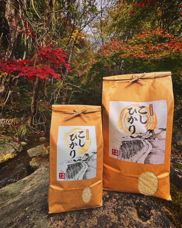 こしひかり(5kg)